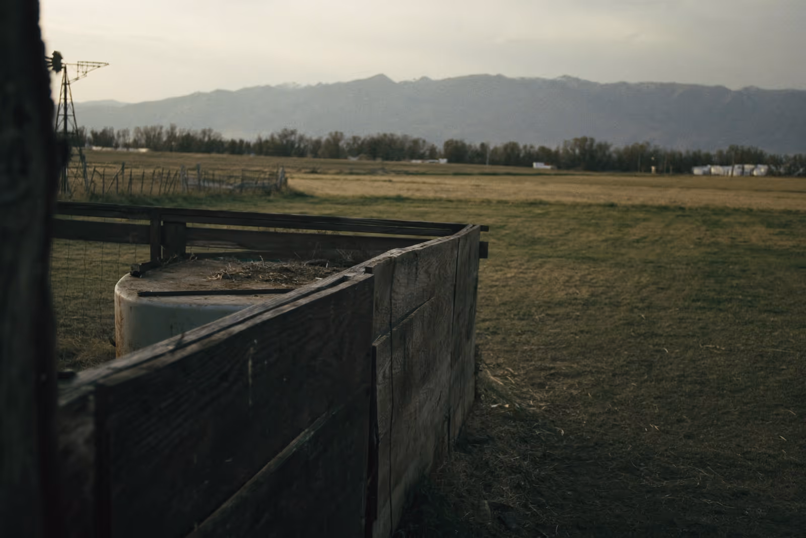 Weathered cattle fence and stock tank facing Colorado pasture and the distant Front Range