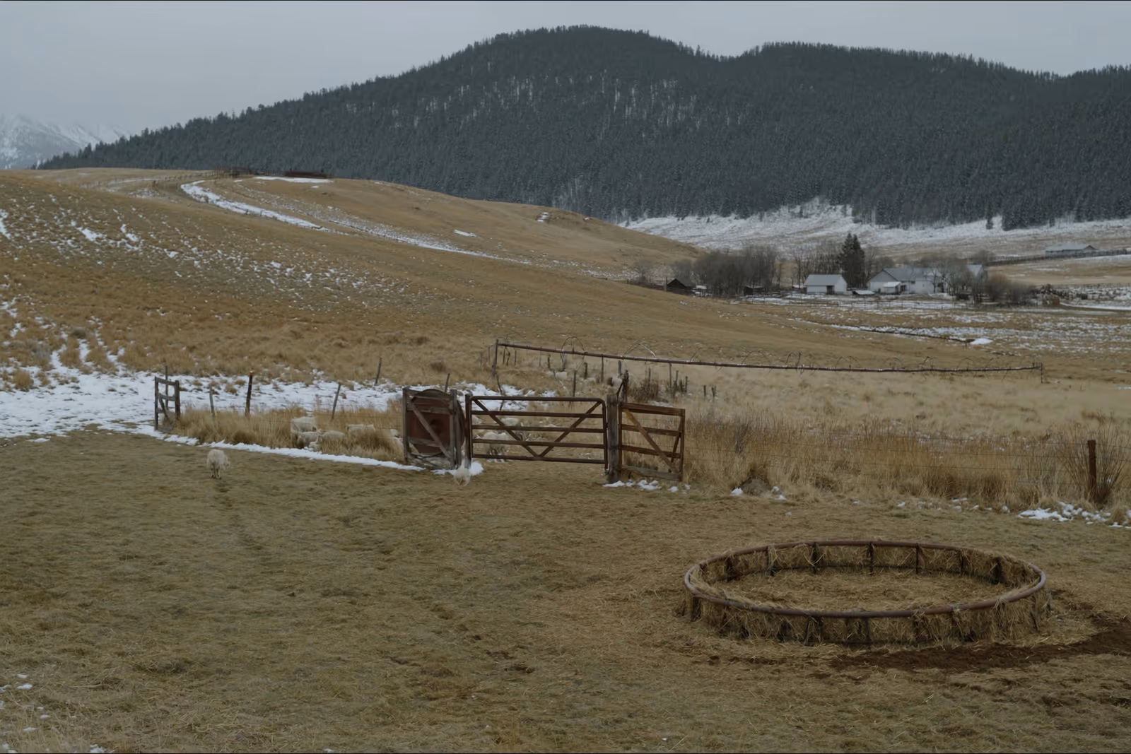 Winter pasture, ranch gate, hay feeder, and foothills on a Montana operation