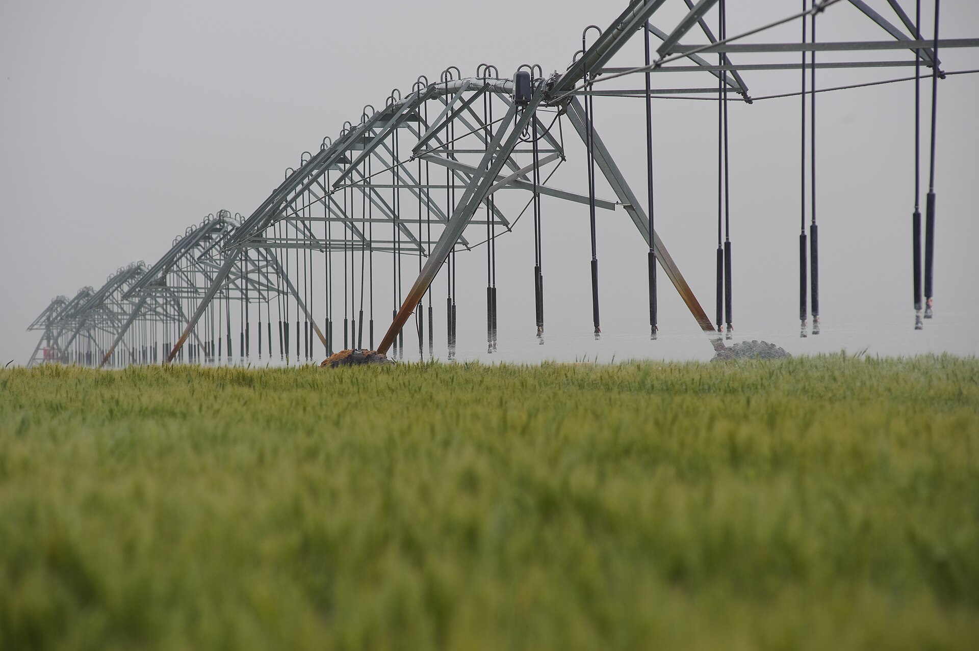 Center-pivot sprinklers running over cropland